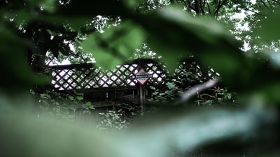图聚科技